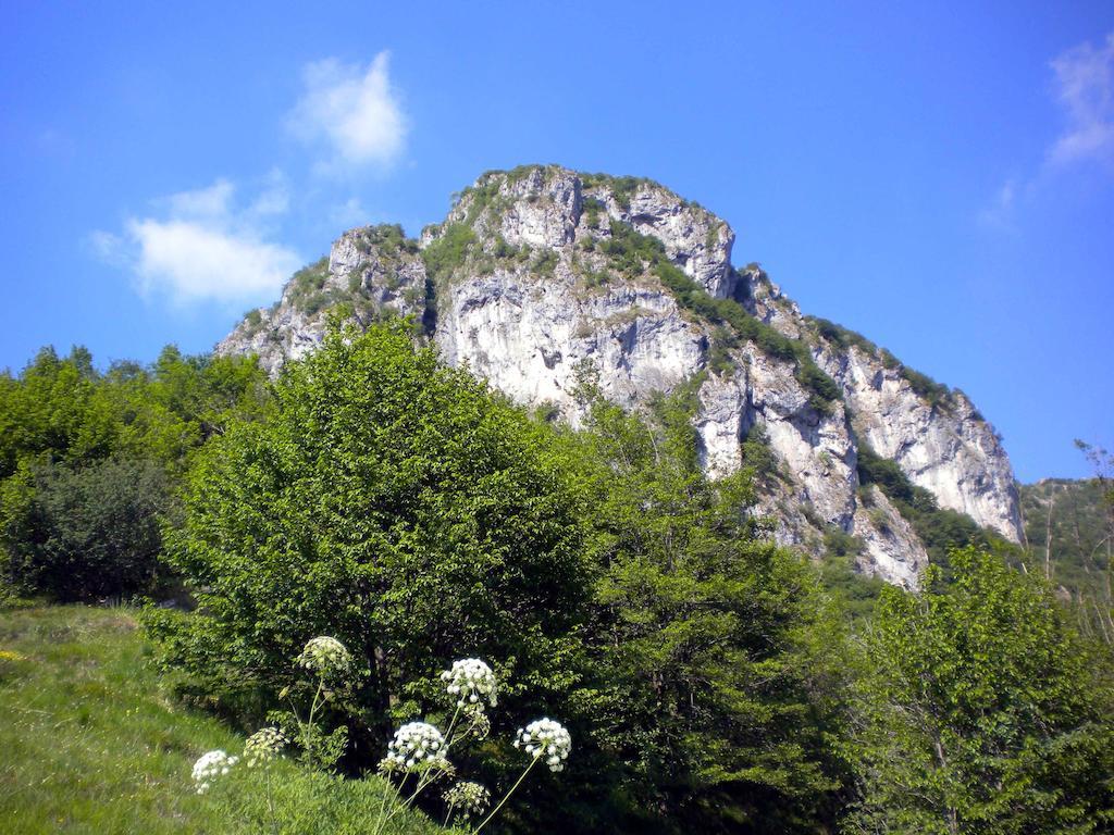 Bed & Breakfast Castello Regina Brembilla Bagian luar foto